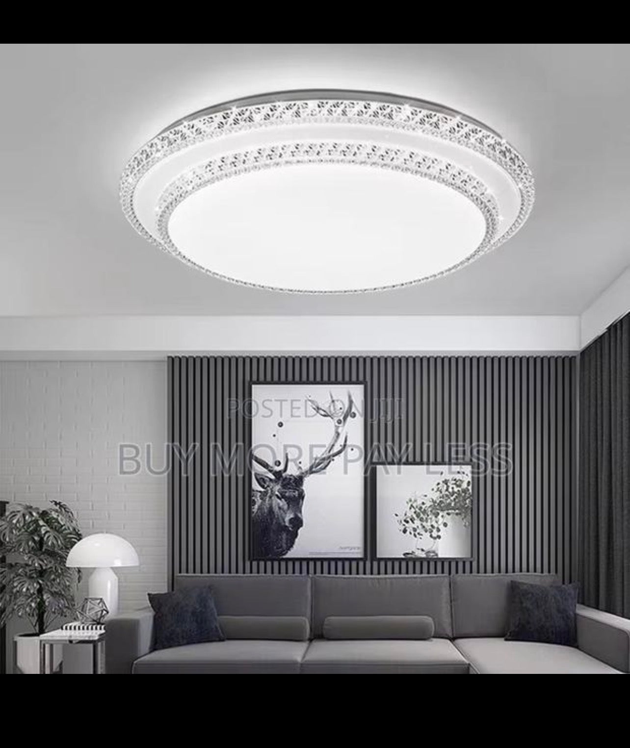 Twinkle crystal clear 3in1 LED ceiling light