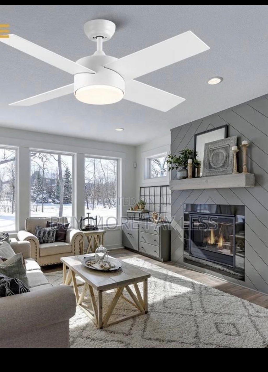 Ceiling fan with light