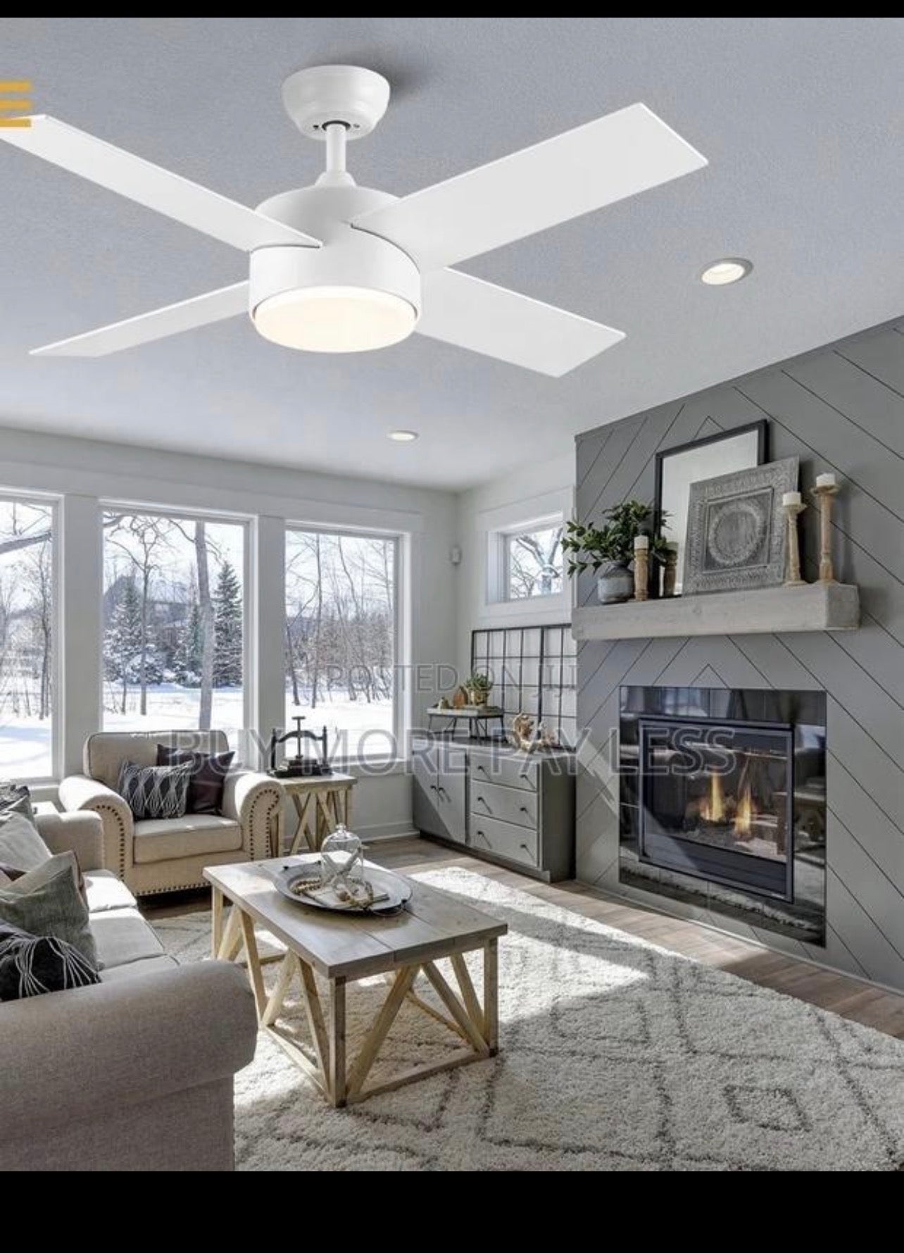 Ceiling fan with light