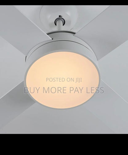 Ceiling fan with light