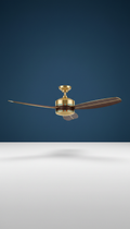 Ceiling Fan With Gold Blade Accents